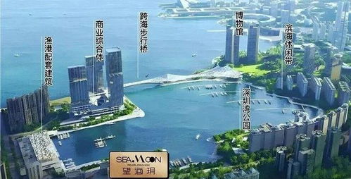 蛇口海景公寓 戶戶帶陽臺，端戶通燃氣，毗鄰蛇口人民醫院